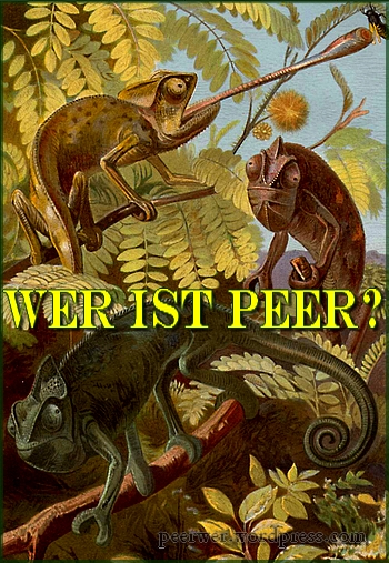 peer-wer-blog_wer-ist-peer_peerwer